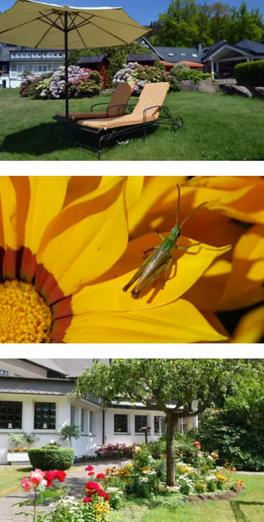 Gartenansichten mit Sonnenliegen, Hotelgebäude und einer Nahaufnahme eines Grashüpfers im Hotel Haus Hilmeke.