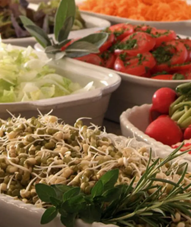 Frisches Salatbuffet mit Sprossen, Tomaten und Blattsalat im Hotel Haus Hilmeke. Gesunde Speisen für Ihr Wohlbefinden.