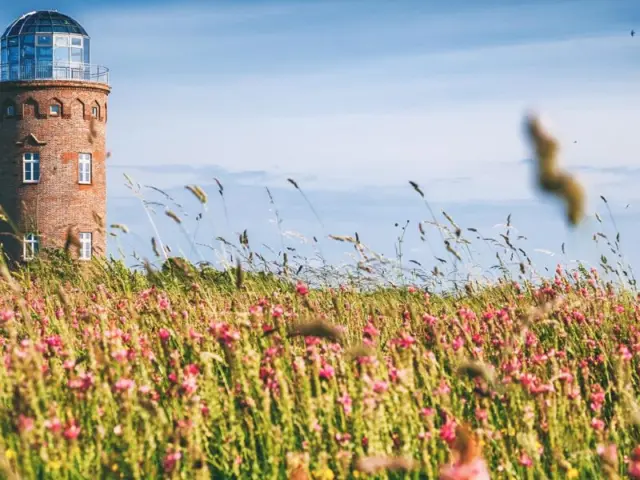 Historischer Leuchtturm mit blühender Wiese und blauem Himmel nahe dem Grand Hotel Binz auf Rügen.