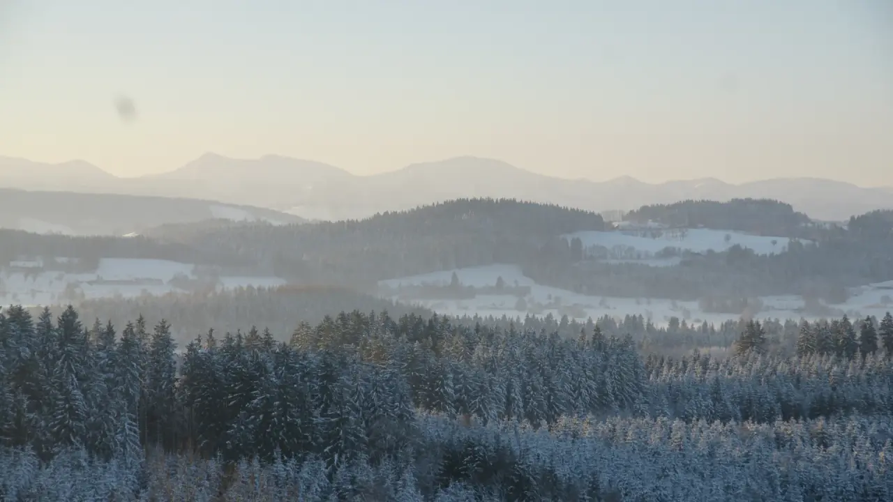 Verschneite Winterlandschaft mit Tannenwäldern und Bergpanorama in der Umgebung des Berghotel Jägerhof.