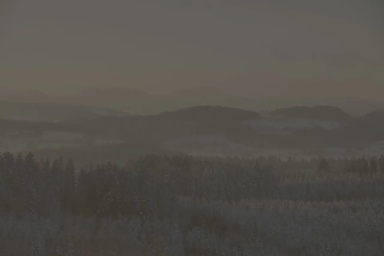 Neblige Winterlandschaft mit verschneiten Wäldern und Bergen in der Umgebung des Berghotels Jägerhof.