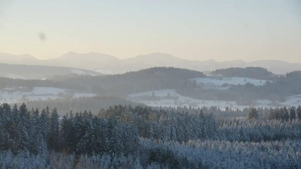 Verschneite Winterlandschaft mit Tannenwäldern und Bergpanorama in der Umgebung des Berghotel Jägerhof.
