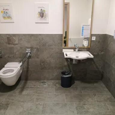 Barrierefreies WC mit Waschbecken und Spiegel im Sonnenhotel WEINGUT RÖMMERTH.
