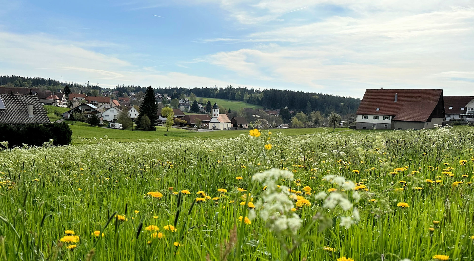Schwarzwaldhotel Oberwiesenhof in Seewald – Frühlingslandschaft mit Blumenwiese und Dorf | Wellnesshotel Schwarzwald