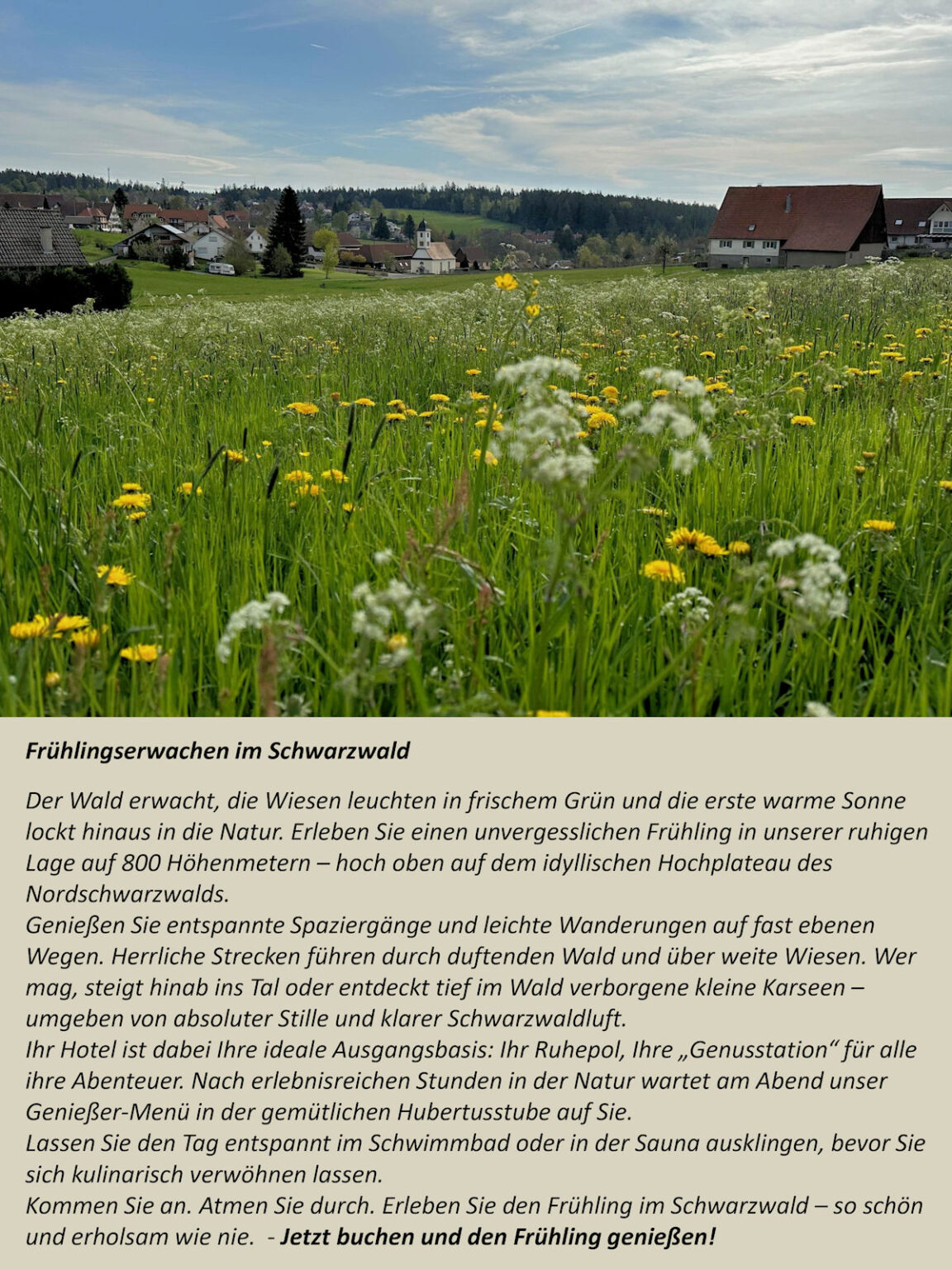 Schwarzwaldhotel Oberwiesenhof in Seewald – Informationen zum Frühlingserwachen im Schwarzwald | Wellnesshotel Schwarzwald