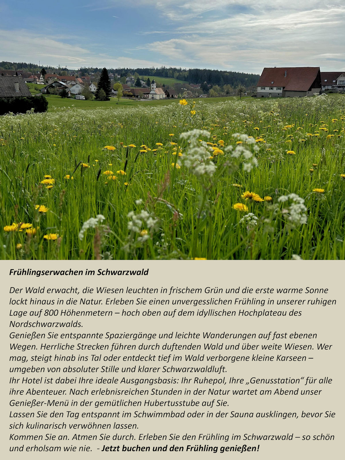 Schwarzwaldhotel Oberwiesenhof