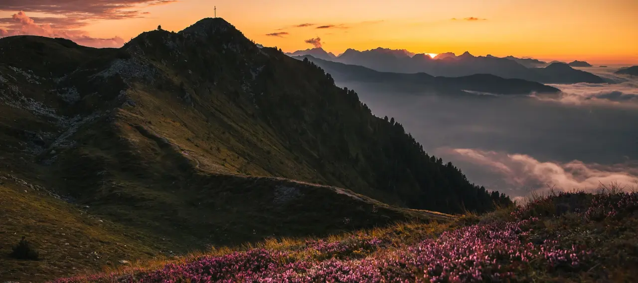 Alpenpanorama bei Sonnenuntergang mit Gipfelkreuz, blühenden Almwiesen und Nebel im Tal. Die Natur rund um das Alois ****s.