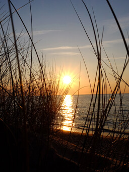 Malerischer Sonnenuntergang über der Ostsee mit Dünengras im Vordergrund am Strandhotel Fischland.