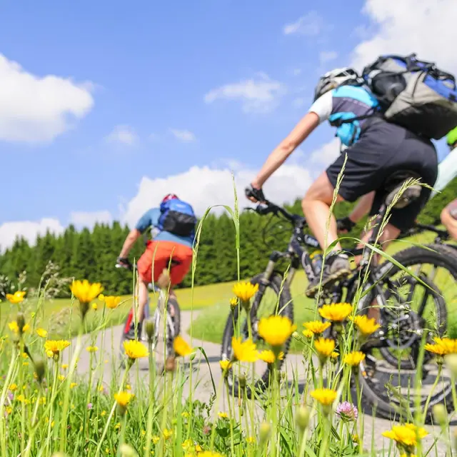 Zwei Mountainbiker auf einem sonnigen Weg durch blühende Wiesen mit Wald im Hintergrund, nahe dem Landhotel Moorhof.