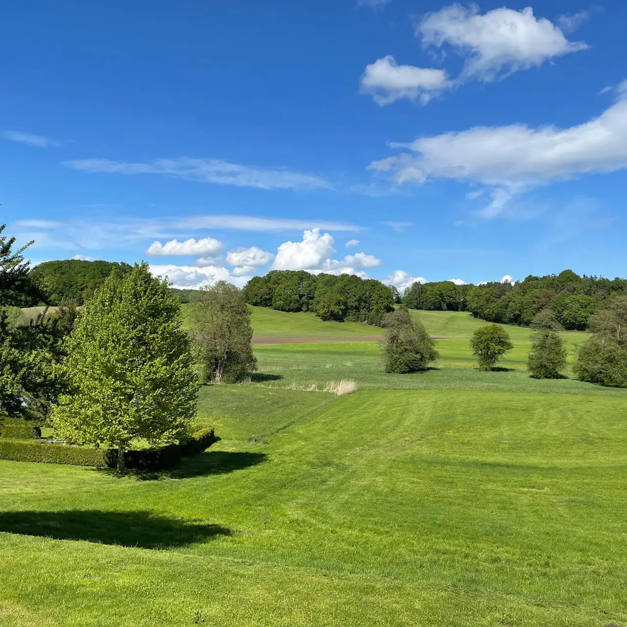 Idyllische grüne Hügellandschaft mit Bäumen und blauem Himmel rund um das Landhotel Moorhof.
