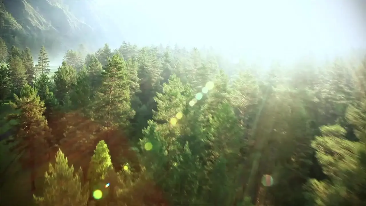 Rickatschwende F. X. Mayr Health Retreat — weiteres Bild