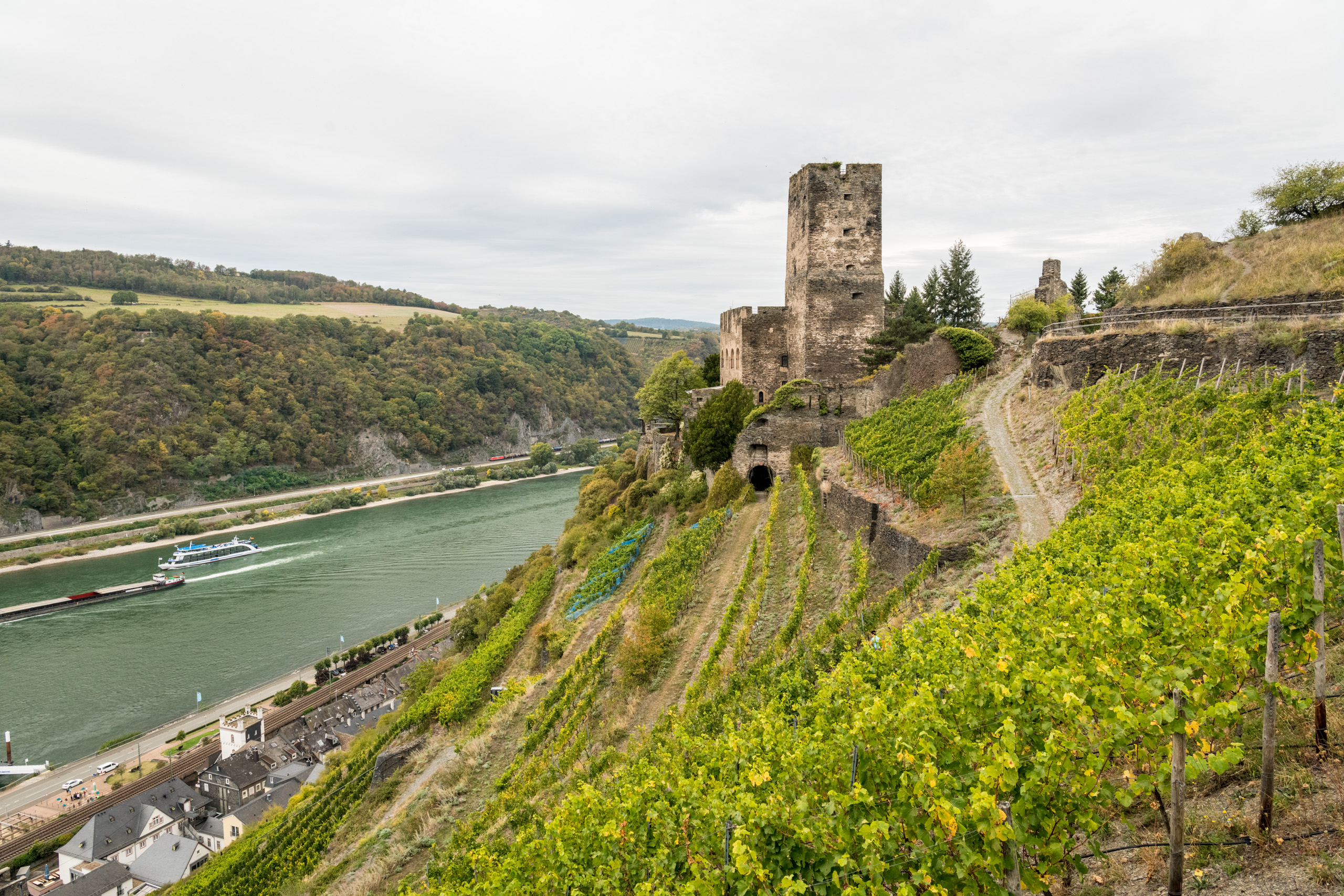 Papa Rhein Hotel in Bingen – Burgruine am Rhein mit Weinbergen und Flussblick | Wellnesshotel Mittelrhein