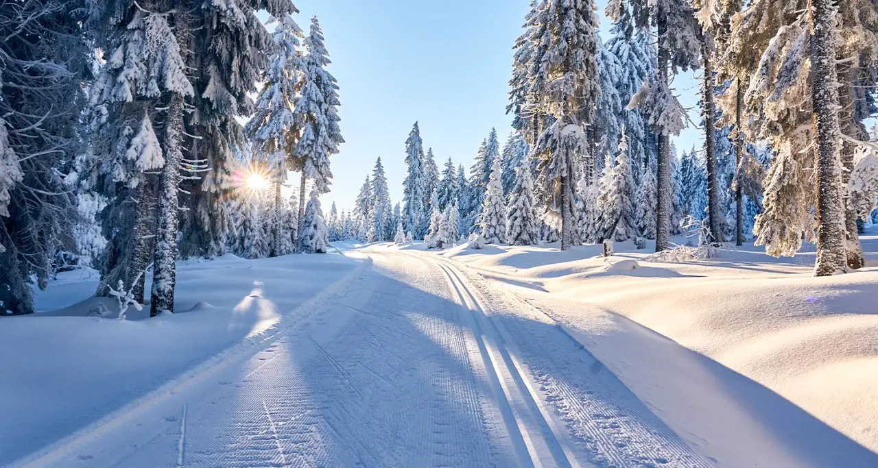 Sonnige Winterlandschaft mit verschneiten Tannen und Langlaufloipe im Bayerischen Wald, nahe Glashotel Zwiesel.