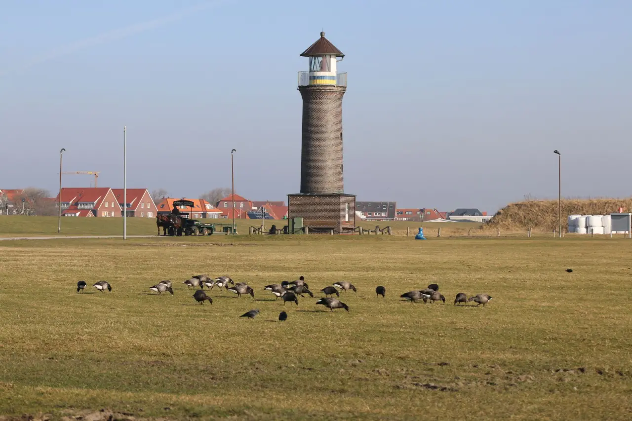 Historischer Leuchtturm auf einem Deich mit grasbewachsenem Feld und Weidegänsen, nahe dem Hotel Pabst.