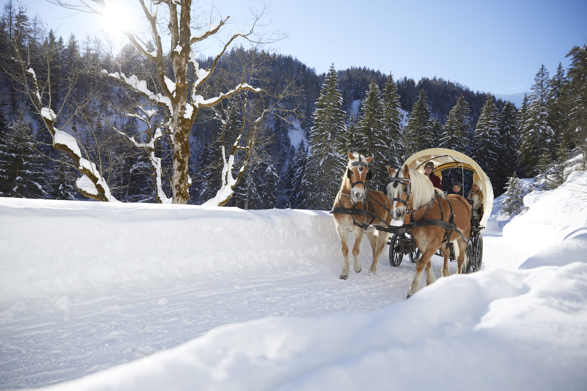 Familienparadies Sporthotel Achensee in Achenkirch – Pferdeschlittenfahrt durch verschneite Winterlandschaft | Wellnesshotel Achensee