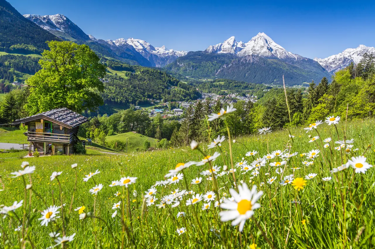 Idyllisches Bergpanorama mit Wiesen, Gänseblümchen und traditioneller Almhütte nahe dem Naturhotel Reissenlehen.