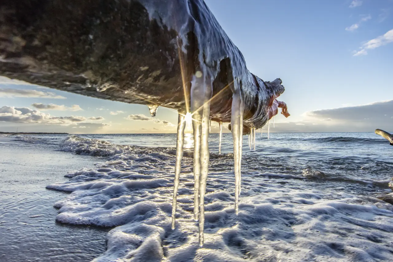 Eiszapfen an Treibholz am winterlichen Ostseestrand bei Sonnenuntergang, Ostseehotel - Villen im Park