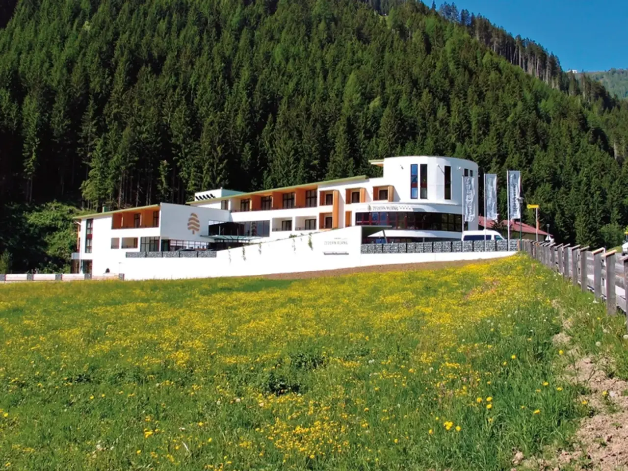 Modernes Hotel Zedern Klang inmitten einer Berglandschaft mit Wald und blühender Wiese im Vordergrund.