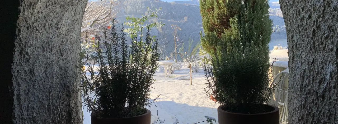 Winterlicher Seeblick vom Garten der Villa Postillion am See mit verschneiten Pflanzen und Bergen im Hintergrund.