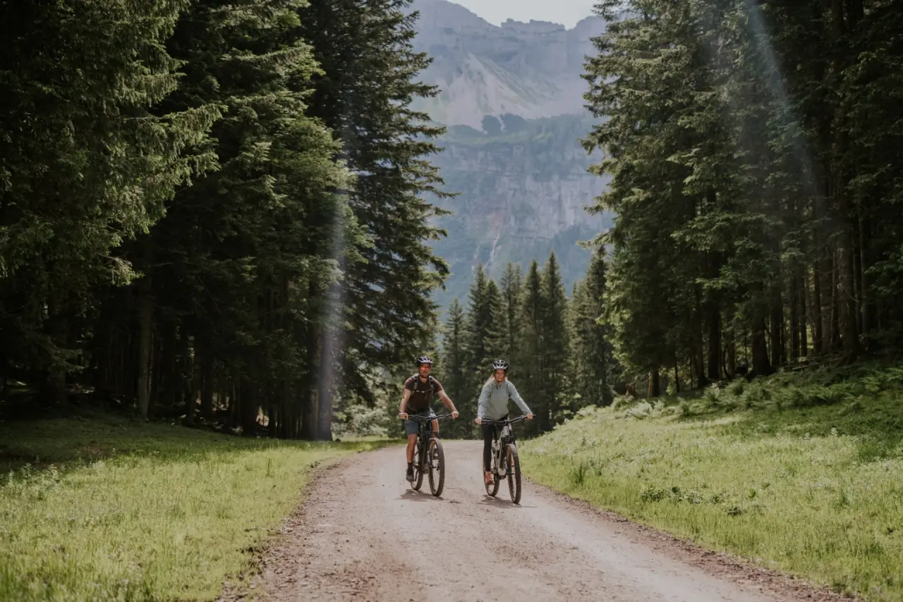 Zwei Personen beim Mountainbiken auf einem Waldweg mit Bergpanorama nahe Hotel DIE WASNERIN.