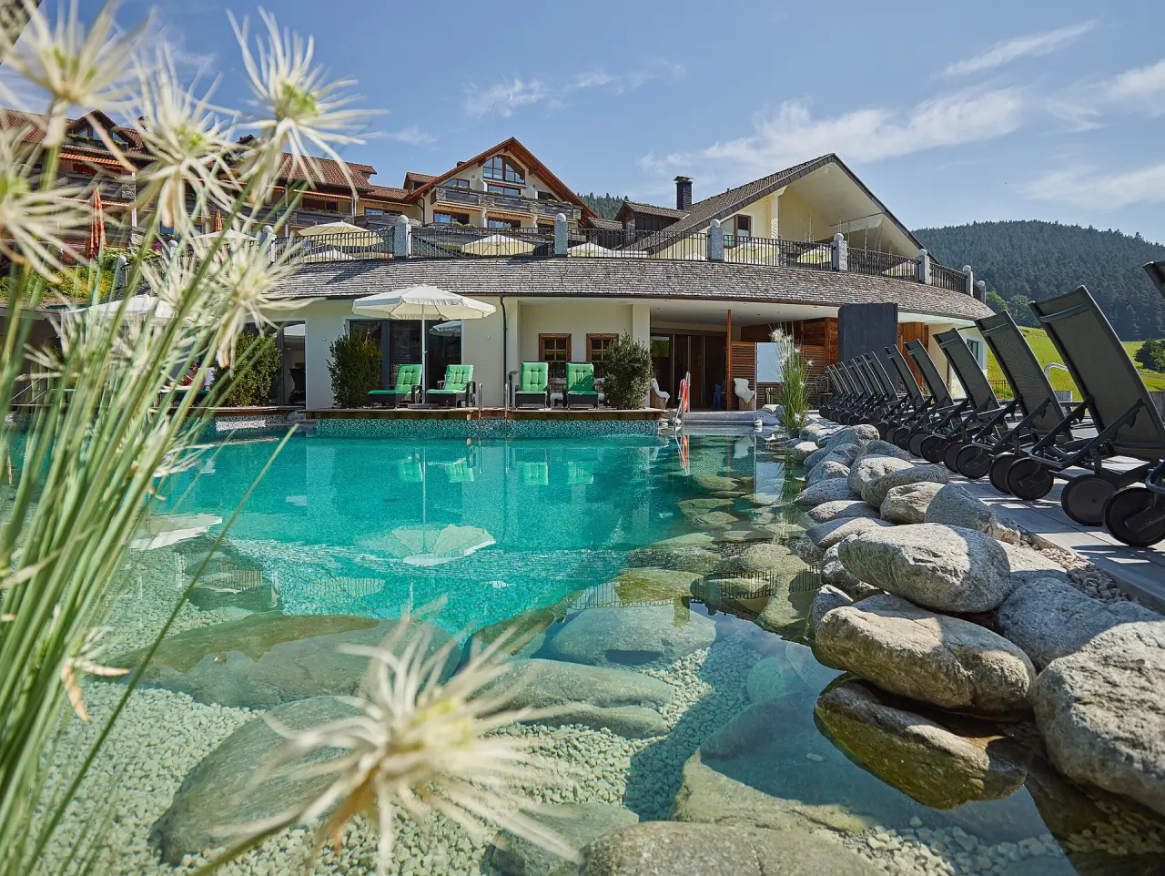 Grosszügiger Aussenpool mit Liegebereich und Hotel Heselbacher Hof in sonniger Naturkulisse.