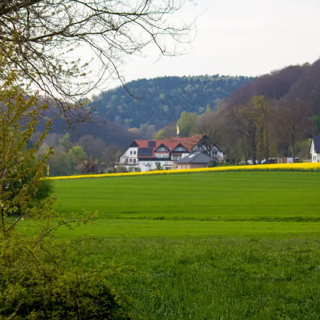 Ringhotel Teutoburger Wald in idyllischer Landschaft, umgeben von grünen Feldern und Wäldern im Teutoburger Wald.
