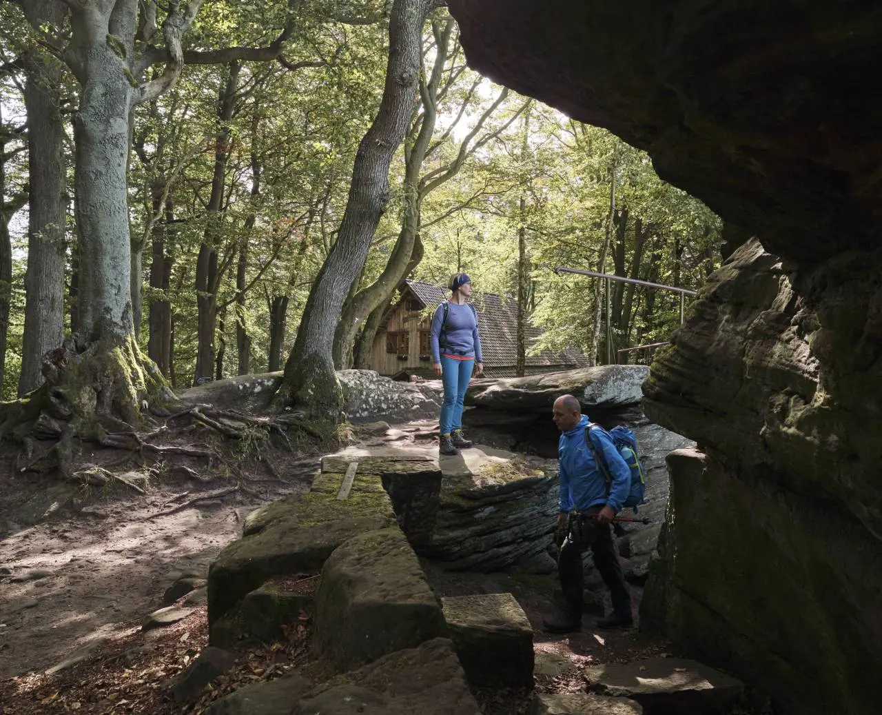 Zwei Wanderer auf einem Waldweg mit Felsen und Bäumen nahe dem Hotel am Vitalpark.