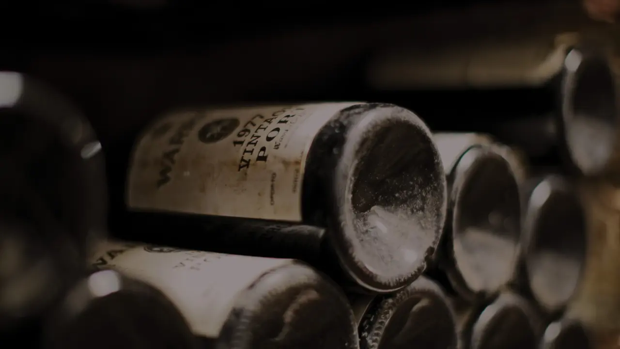 Historische Weinflaschen, darunter ein 1977 Vintage Port, im exklusiven Weinkeller des Palais Coburg Residenz.
