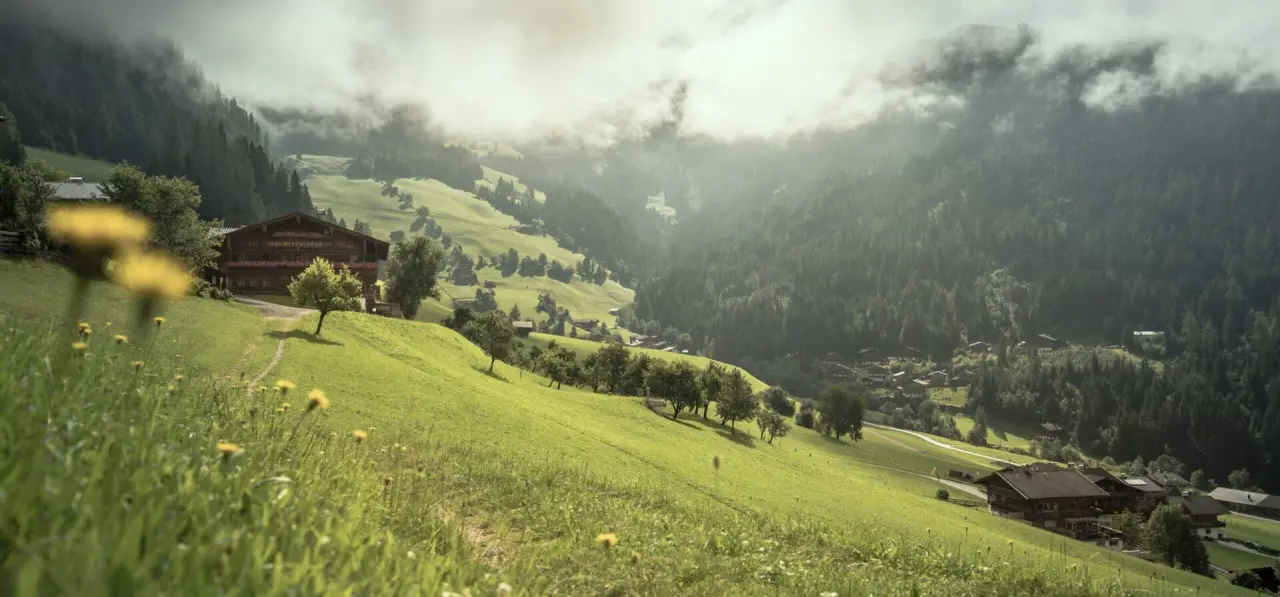 Aktiv- & Wellnesshotel Pirchnerhof in den Tiroler Alpen. Traditionelles Hotelgebäude auf grüner Wiese mit Bergpanorama und Nebel.