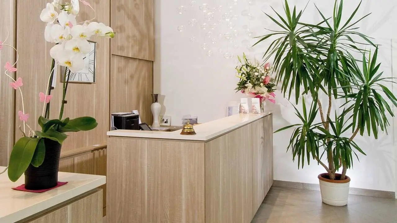 Hotel Atlantic & Spa in Pesaro – Moderne Rezeption mit hellen Holzmöbeln und Pflanzen | Wellnesshotel Adriaküste