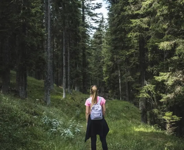Wanderin mit Rucksack im dichten Wald nahe Hotel Goldried. Naturerlebnis und Erholung in den Bergen.