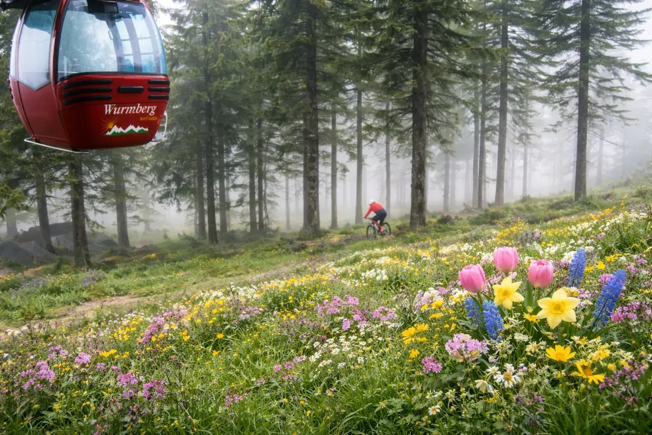Wurmberg Seilbahn und Mountainbiker im blühenden Harz-Wald nahe dem relexa hotel Harz-Wald.
