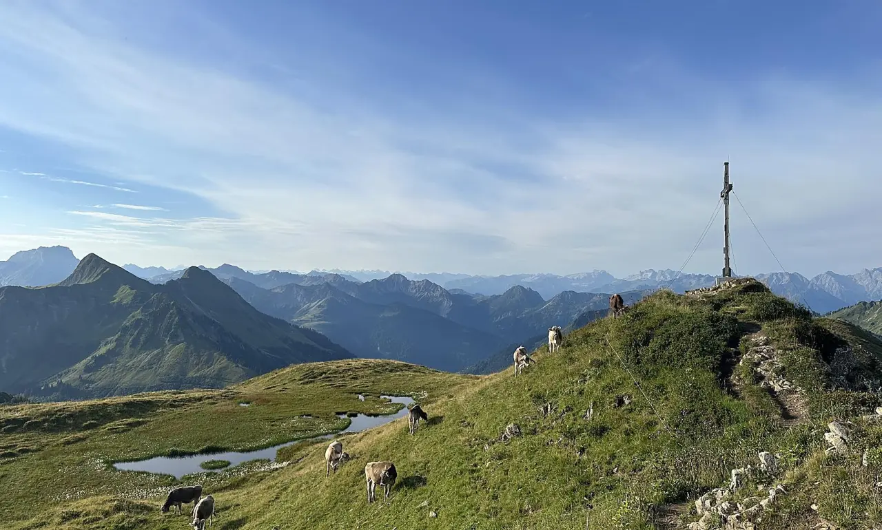Damülser Hof in Damüls – Berglandschaft mit Kühen und Gipfelkreuz | Wellnesshotel Vorarlberg