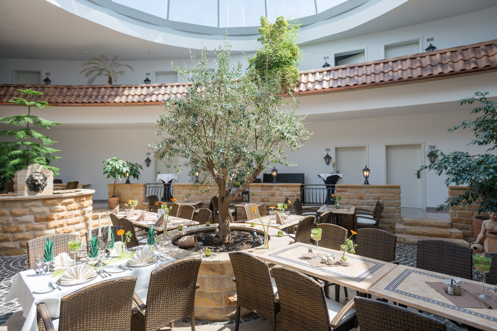 Wildpark Hotel in Bad Marienberg – Helles Restaurant-Atrium mit Olivenbaum | Wellnesshotel Westerwald