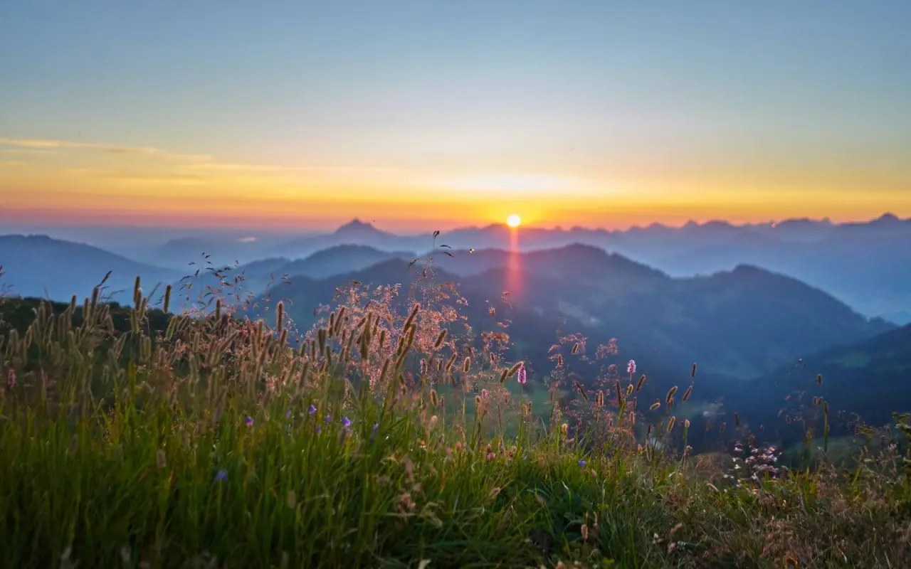 Parkhotel Burgmühle — weiteres Bild