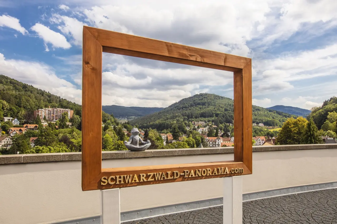 Panoramablick auf den Schwarzwald mit Holzrahmen und meditierendem Frosch vom Hotel Schwarzwald Panorama.