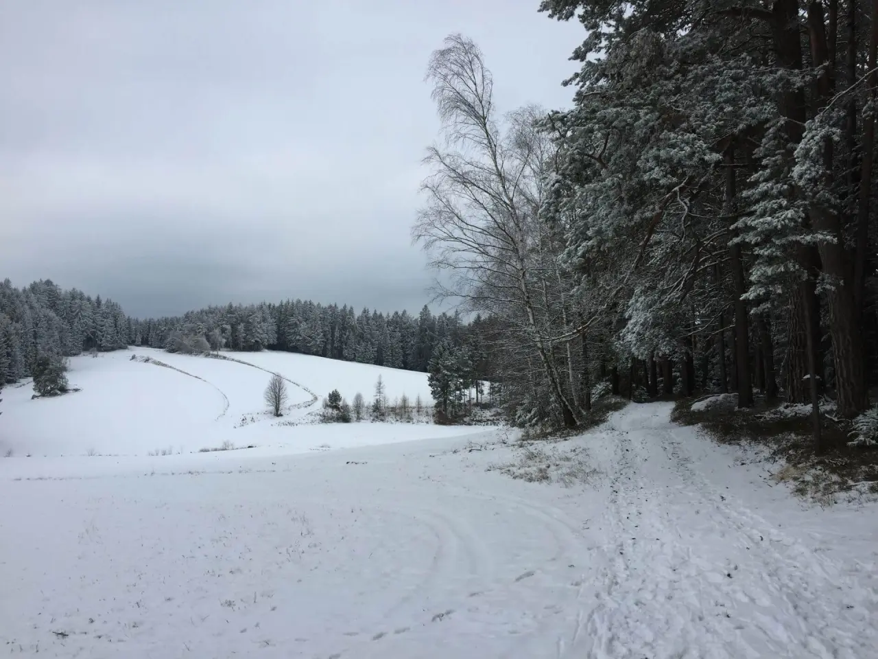 Idyllische Winterlandschaft mit verschneiten Wäldern und Wanderwegen am Gesundheitshotel Klosterberg.