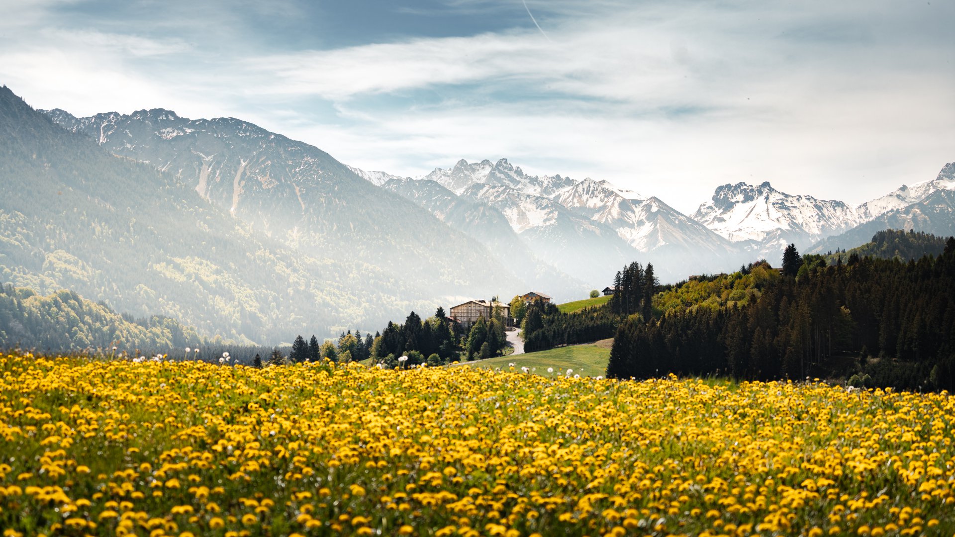 Allgäu Tanneck