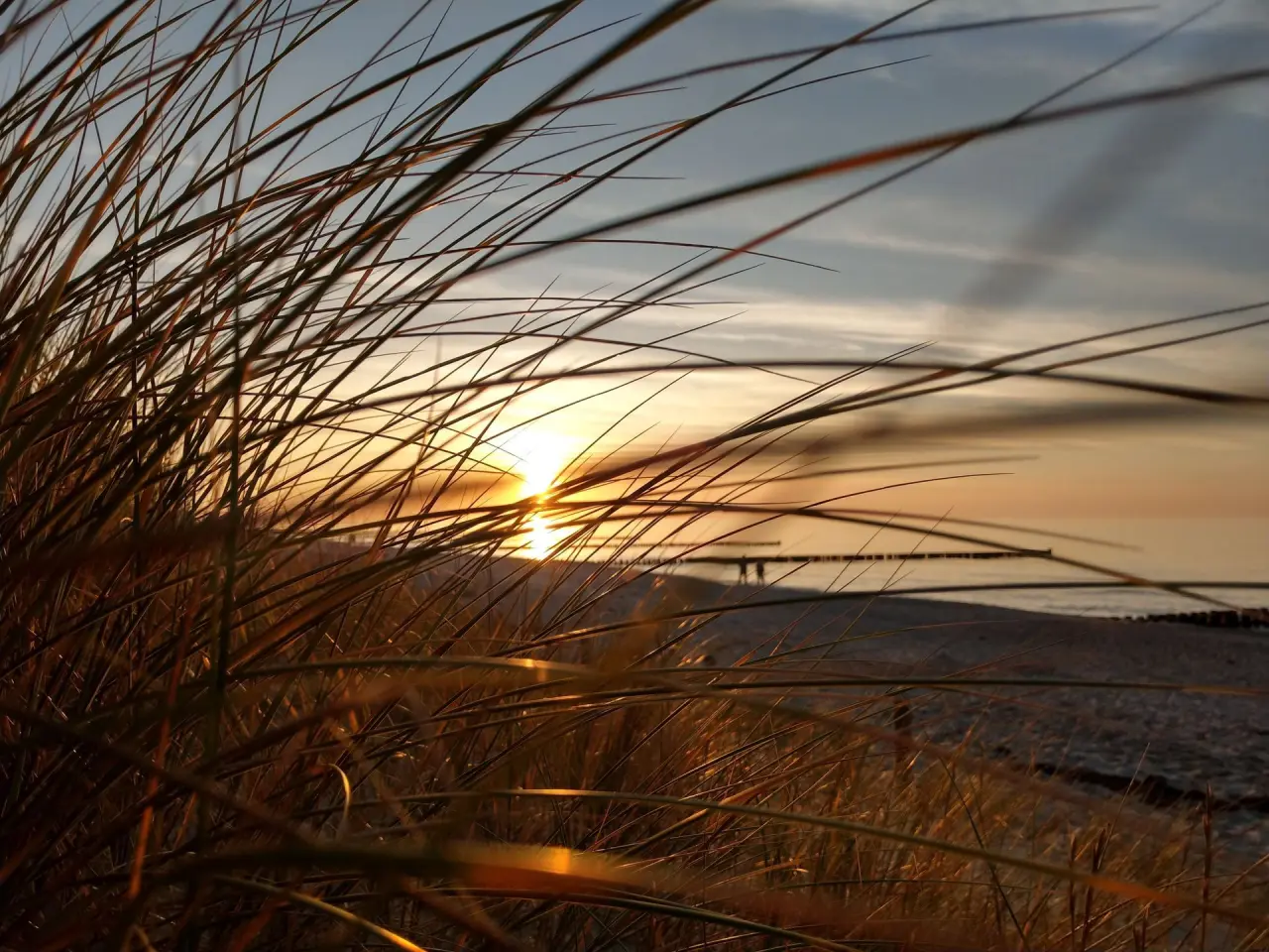 Romantischer Sonnenuntergang am Ostseestrand von Zingst, durch Dünengras gesehen. Perfekt für Gäste des Strandhotel Zingst.