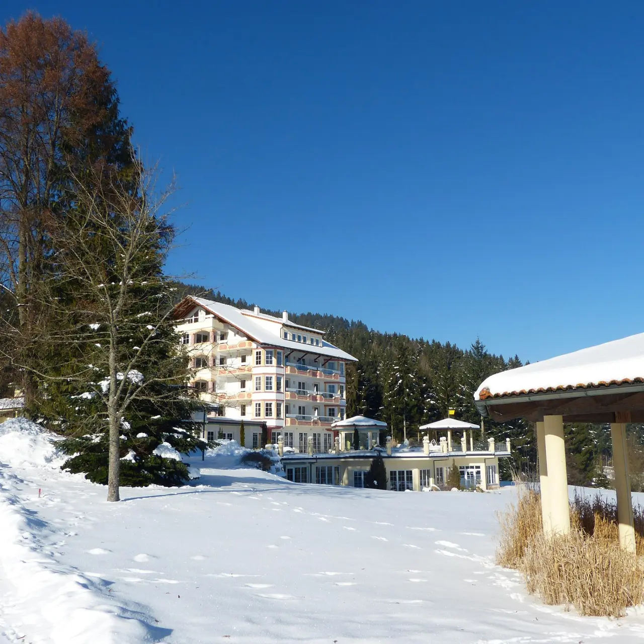 Ailwaldhof Parkhotel und Spa im Winter, umgeben von schneebedeckten Bäumen unter strahlend blauem Himmel.