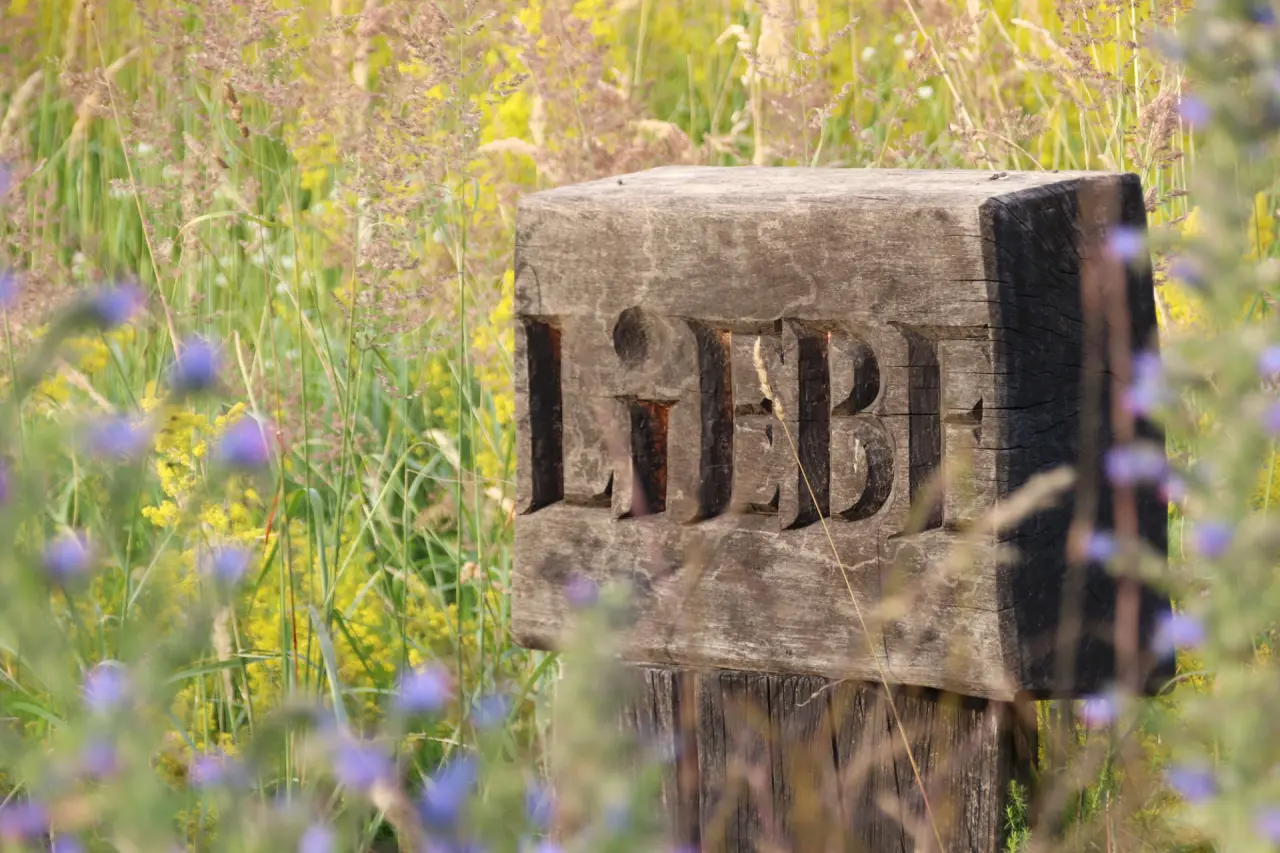Dekoratives Holzschild 'LIEBE' umgeben von Wildblumen und Gräsern im naturnahen Garten des Hotel Haferland.