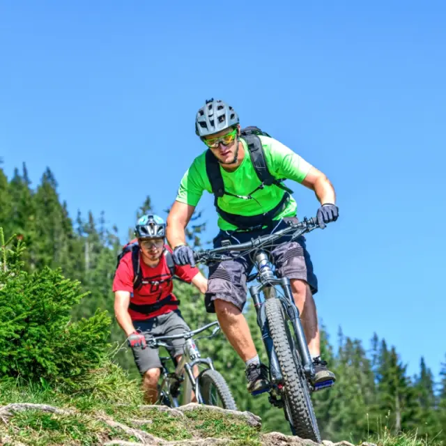 Zwei Mountainbiker auf einem Waldweg in den Bergen, Aktivurlaub im sonnenhotel ZUM STERN.
