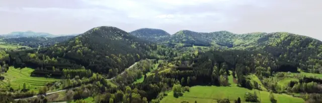 Idyllisches Panorama der bewaldeten Hügellandschaft und grünen Wiesen in der Umgebung des Hotel Am Hirschhorn.