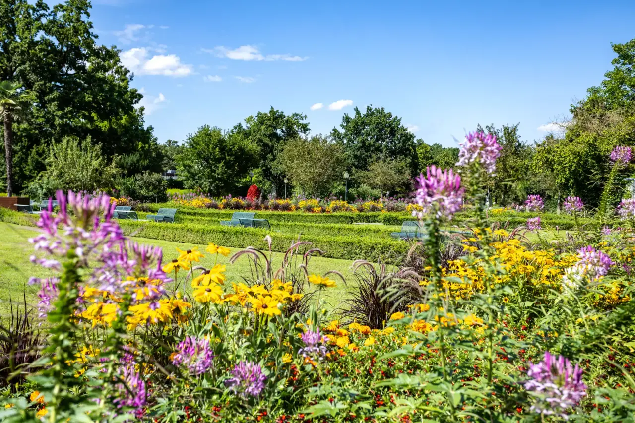 Farbenfroher Hotelgarten mit blühenden Blumen und Sitzgelegenheiten im Hotel Schweizer Hof Betriebs-GmbH unter blauem Himmel.