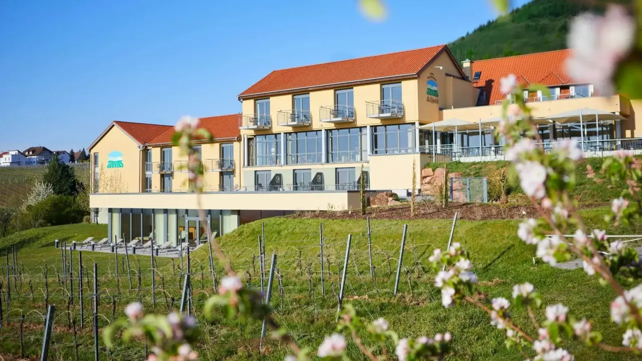 Wohlfühlhotel Alte Rebschule umgeben von blühenden Weinbergen unter blauem Himmel, ideal für einen Wellnessurlaub.
