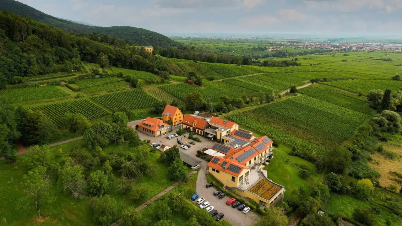 Wohlfühlhotel Alte Rebschule: Luftaufnahme des Hotels umgeben von Weinbergen und Hügeln, mit Blick auf die Rheinebene.