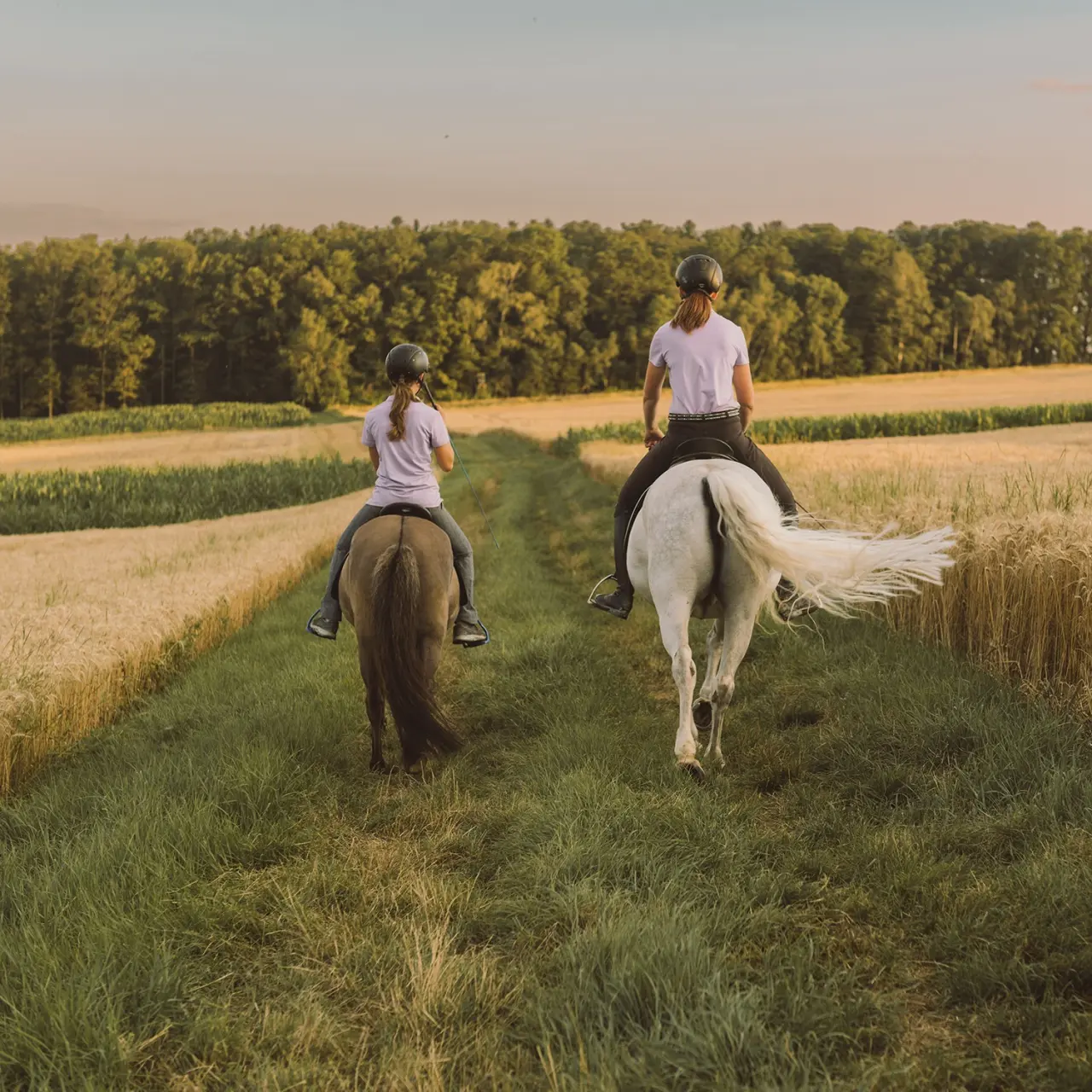 Zwei Reiterinnen auf Pferden auf einem Feldweg bei Sonnenuntergang im Hotel Reiters Supreme.