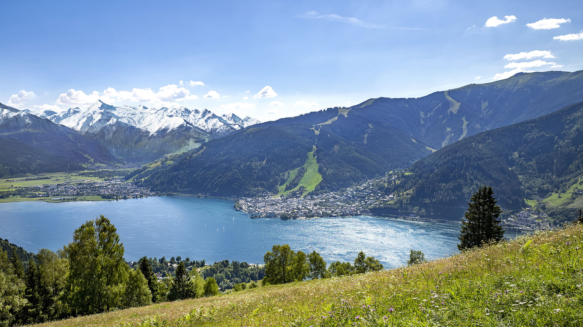 Hotel Salzburgerhof in Zell am See – Sommerliches Panorama von See und Bergen mit grünen Wiesen | Wellnesshotel Salzburger Land