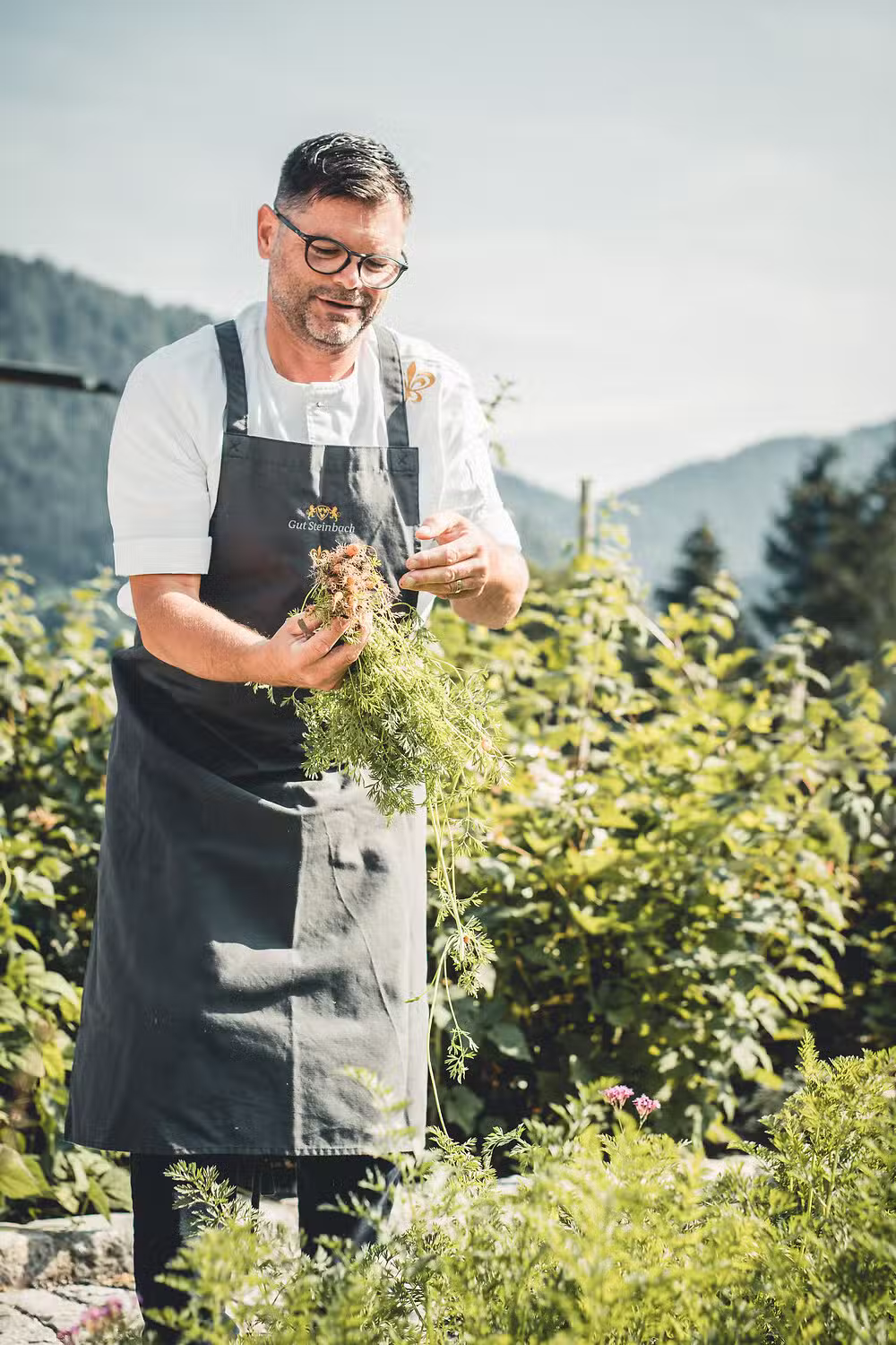 Gut Steinbach Hotel Chalets SPA in Reit im Winkl – Koch erntet frische Kräuter im Hotelgarten | Wellnesshotel Chiemgau