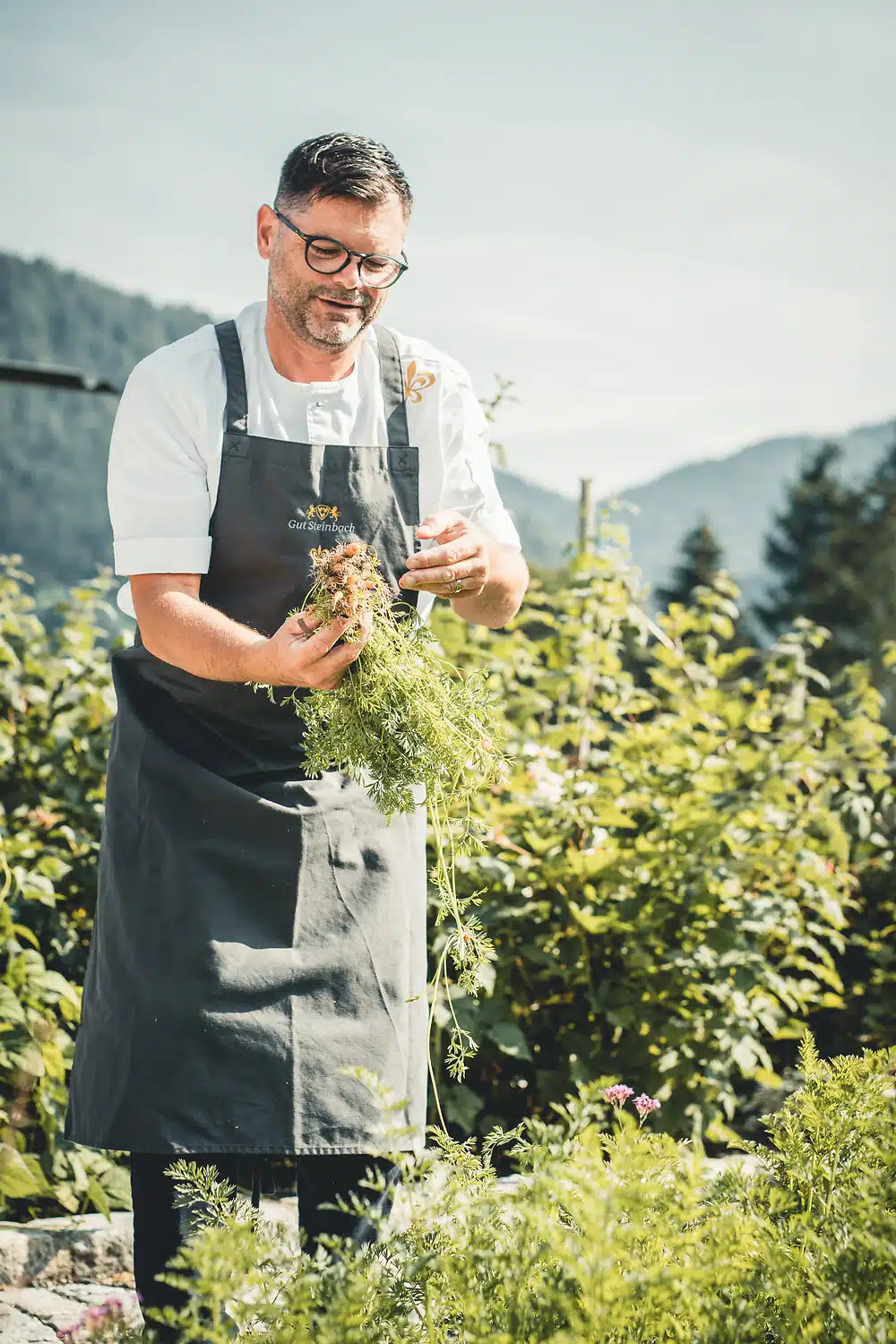Gut Steinbach Hotel Chalets SPA in Reit im Winkl – Koch erntet frische Kräuter im Hotelgarten | Wellnesshotel Chiemgau